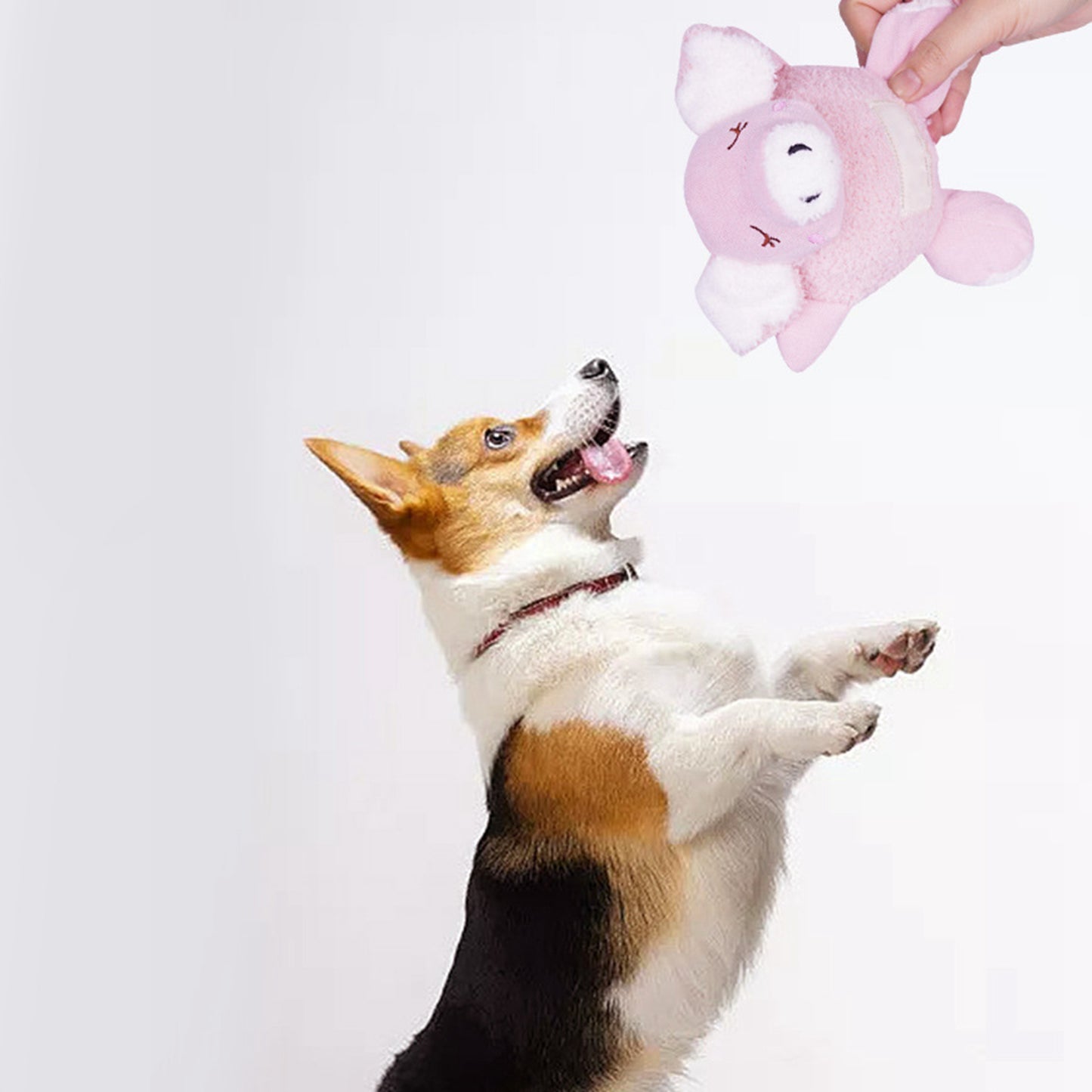 Squeaky Plush Dog Toy Bite Resistant Teething Effect Interactive Soft Puppy Chewing Toy for Relieve Anxiety
